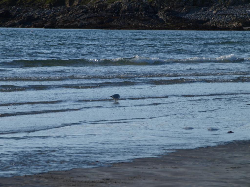 The River House Dungloe Bagian luar foto