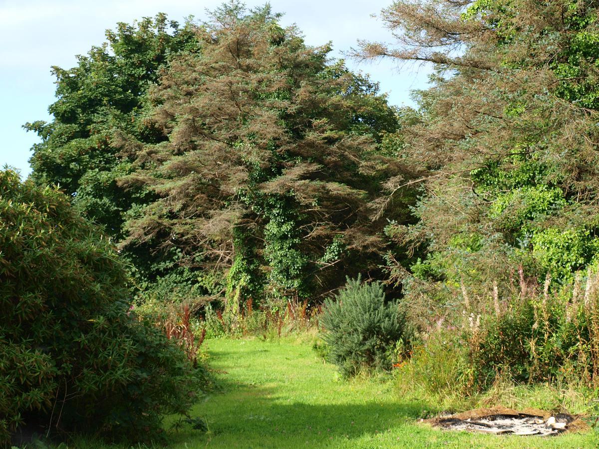 The River House Dungloe Bagian luar foto